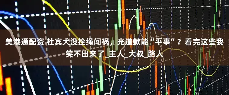 美港通配资 杜宾犬没拴绳闯祸，光道歉能“平事”？看完这些我笑不出来了_主人_大叔_路人