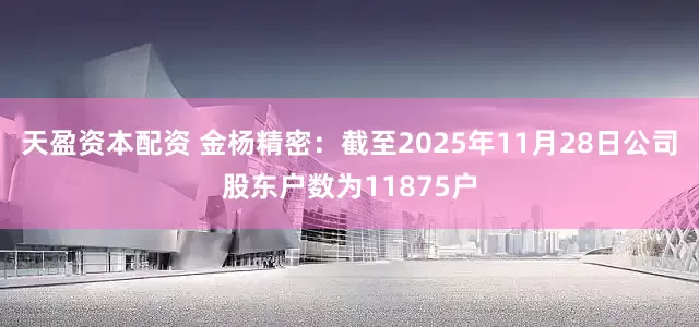 天盈资本配资 金杨精密：截至2025年11月28日公司股东户数为11875户