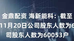 金鼎配资 海新能科：截至2025年11月20日公司股东人数为60053户